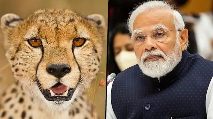 Aamaadmi Patrika