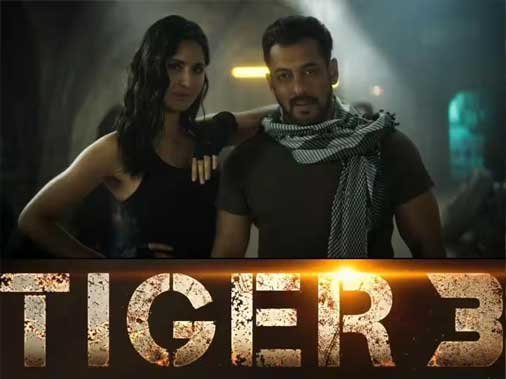Box Office Report: 'टाइगर 3' के कलेक्शन में आई भारी गिरावट