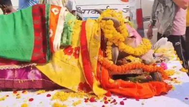 Cg news: बाजे-गाजे से निकली मृत गाय की अंतिम यात्रा,सबकी आंखें नम