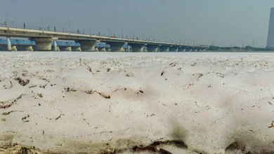 दिल्ली: छठ पूजा से पहले यमुना का हाल बेहाल,चारो ओर दिखा झाग ही झाग