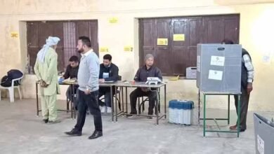 Punjab By Election Voting Live: चार सीटों पर उपचुनाव के लिए वोटिंग शुरू, ठंड के कारण धीमी है रफ्तार