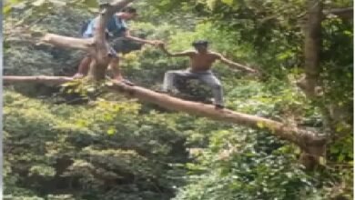 aamaadmi.in