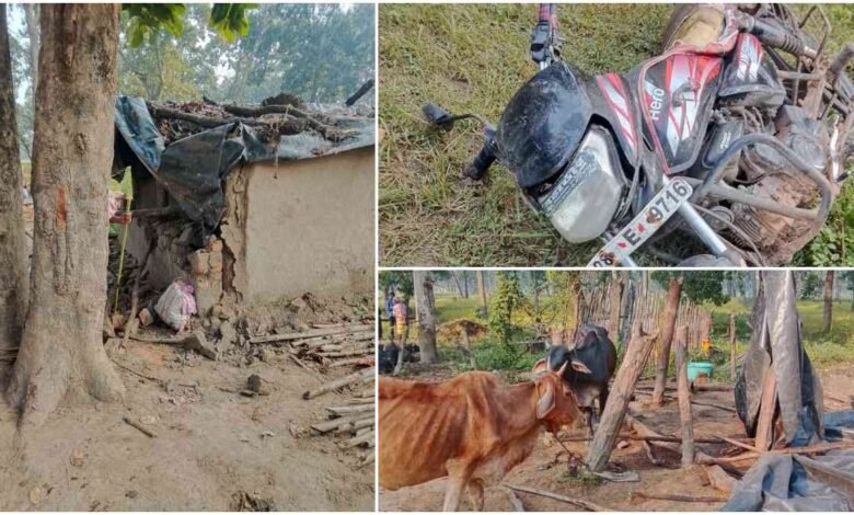 हाथियों का तांडव! मकान ढहाए, मवेशियों को कुचला; भागकर ग्रामीणों ने बचाई जान 1 aamaadmi.in